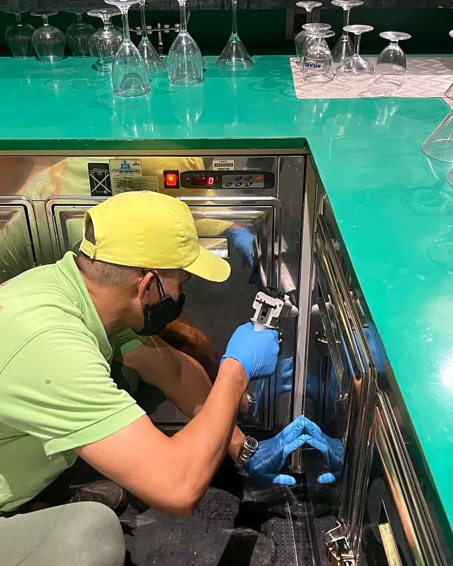 Un technicien Deratizon applique un gel insecticide sous le comptoir réfrigéré d’un bar.